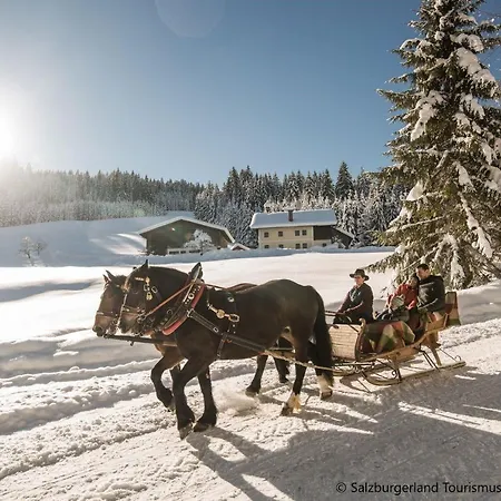 アパート Hideaway Dachstein West By Alps *